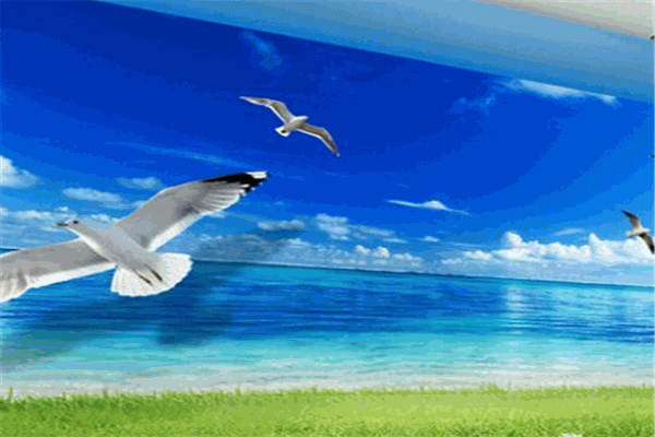 新思路5D玻璃背景墙